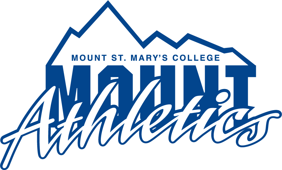 Mount St. Marys Mountaineers 1990-1996 Primary Logo iron on transfers for T-shirts